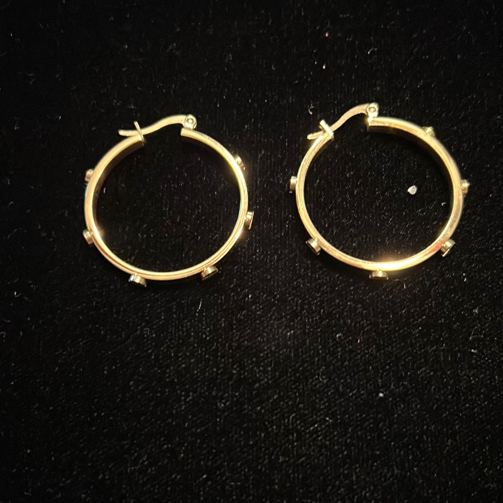 Loop earrings
